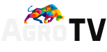 Мобильный логотип