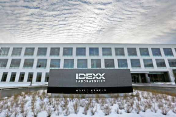 Тесты IDEXX – от инфекций до беременности