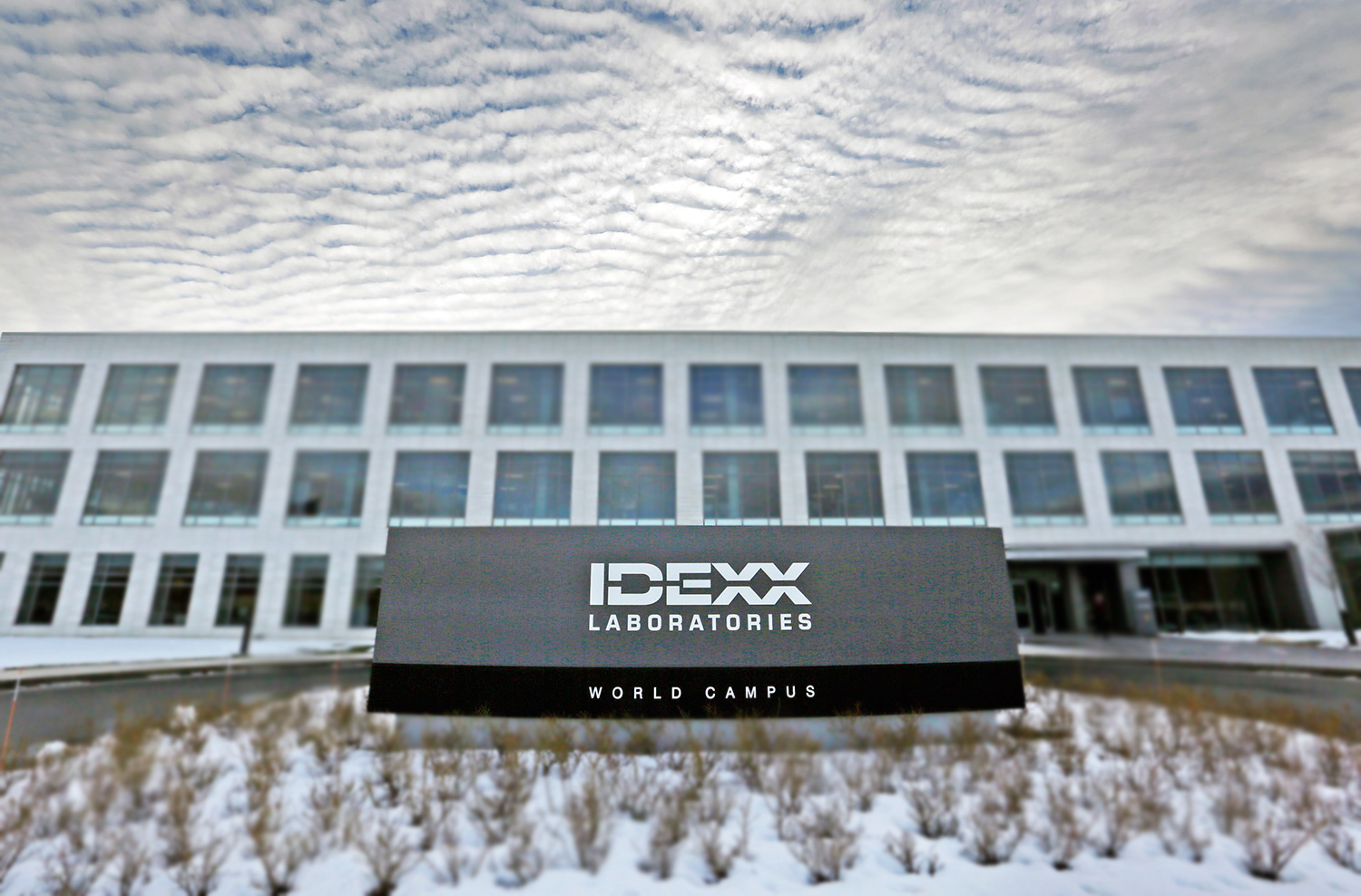 Тесты IDEXX – от инфекций до беременности