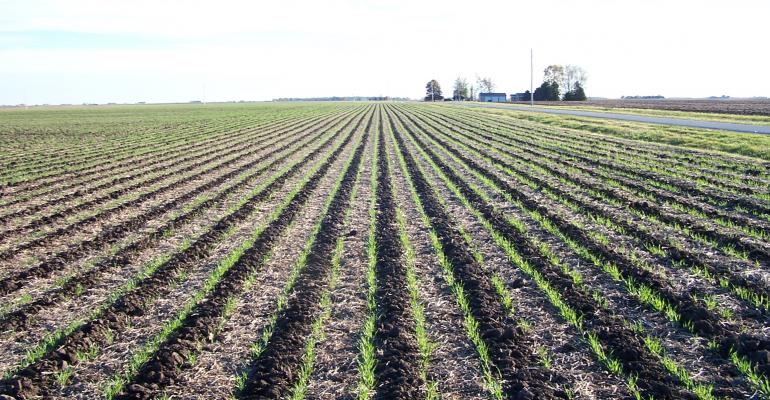 Strip-till или как увеличить урожайность