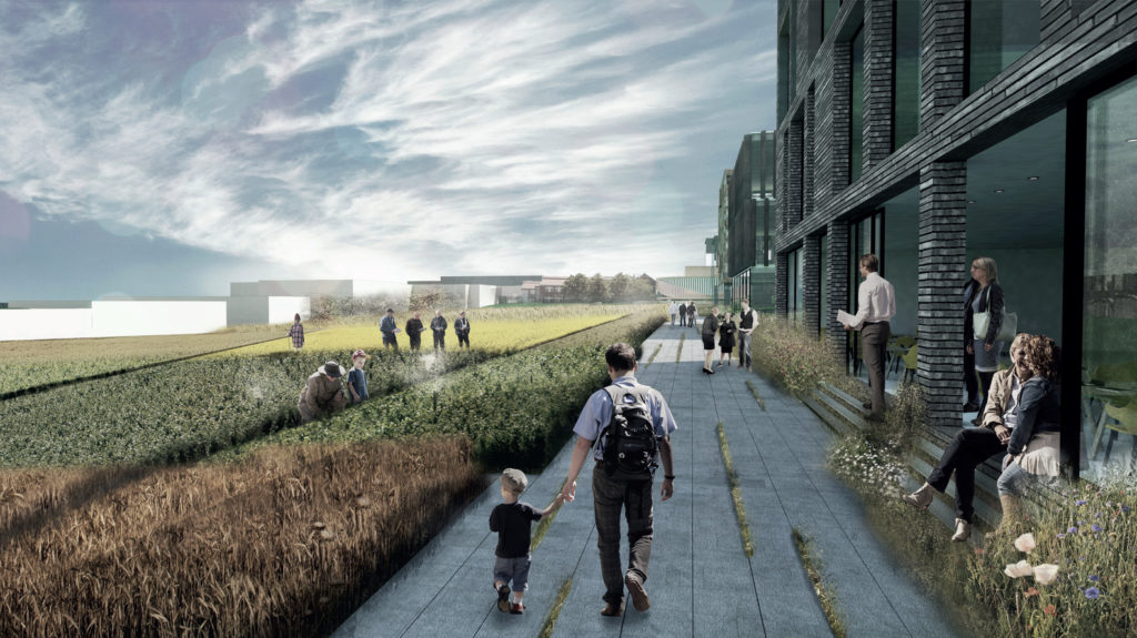 Agro Food Park