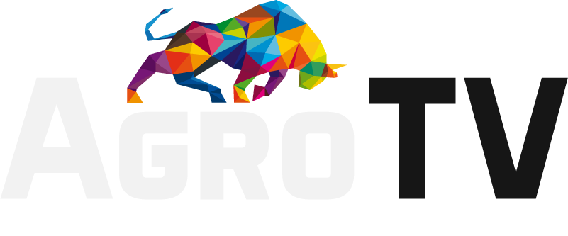 Логотип сайта