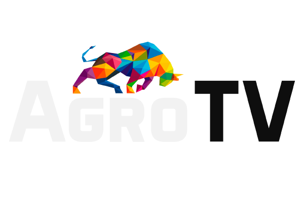 Логотип сайта