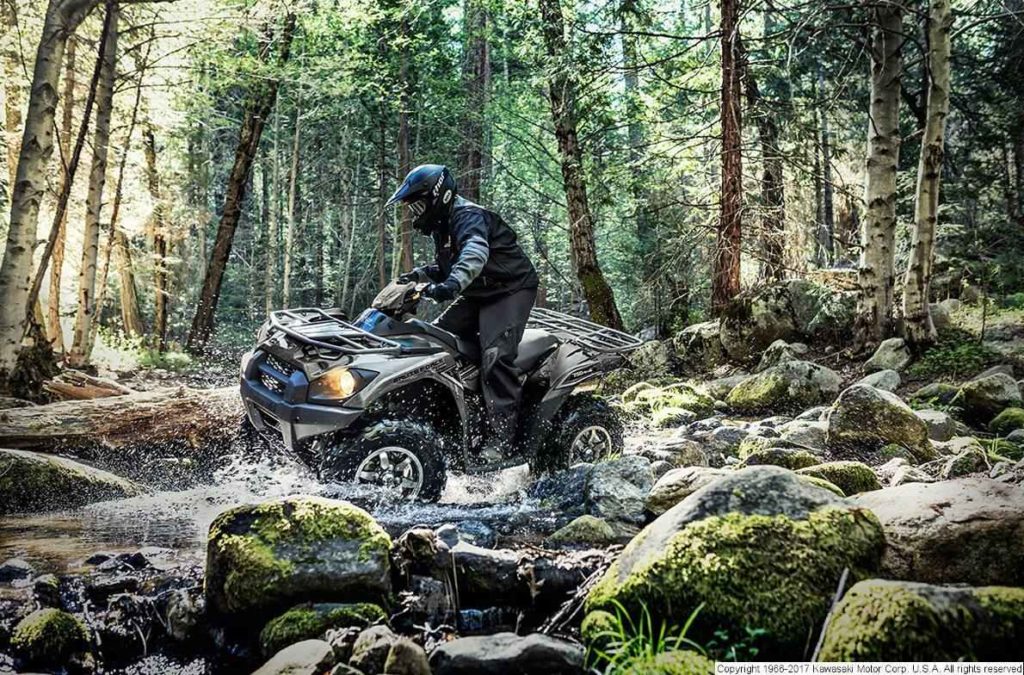 BRUTE FORCE 750 4X4 