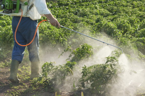 Гербицид от Syngenta и DuPont