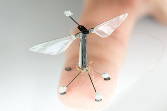 Мини-дрон RoboBee