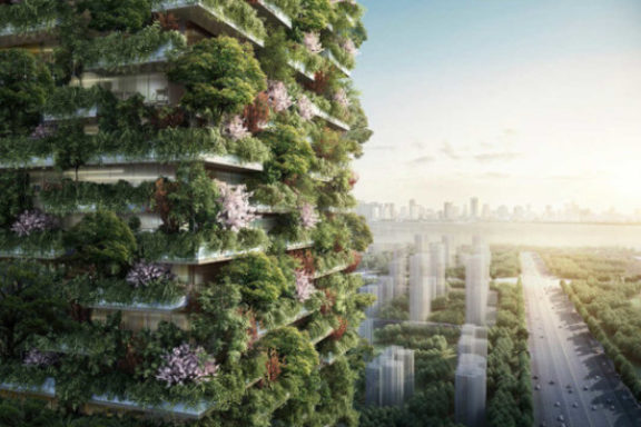 Forest City – город зелёного цвета