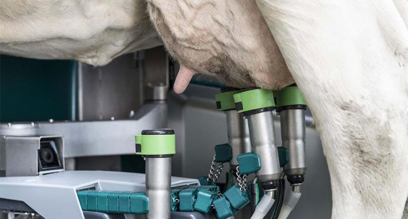 Роботизированный доильный модуль DairyProQ