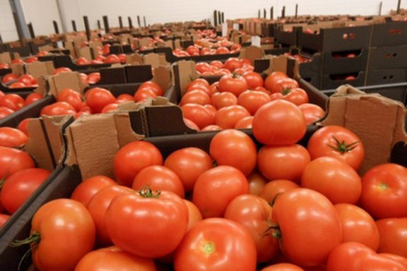 Компания Agrofusion обзавелась уникальным оборудованием