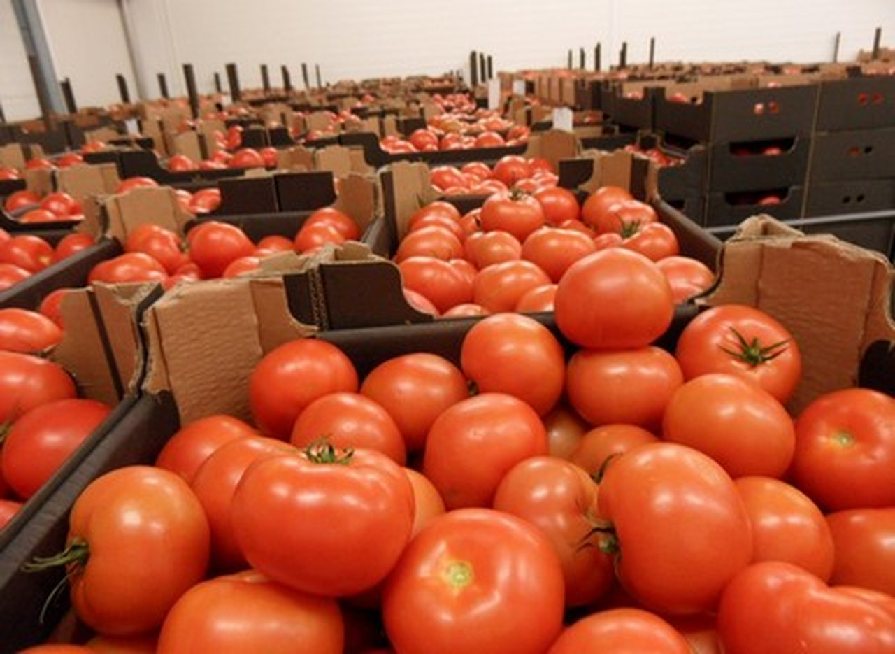 Компания Agrofusion обзавелась уникальным оборудованием